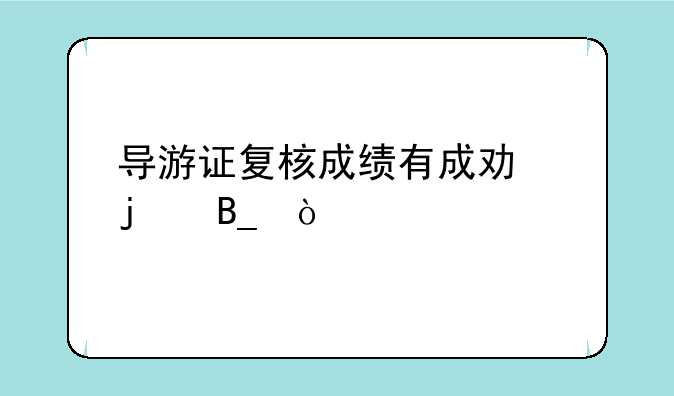 导游证复核成绩有成功的吗？